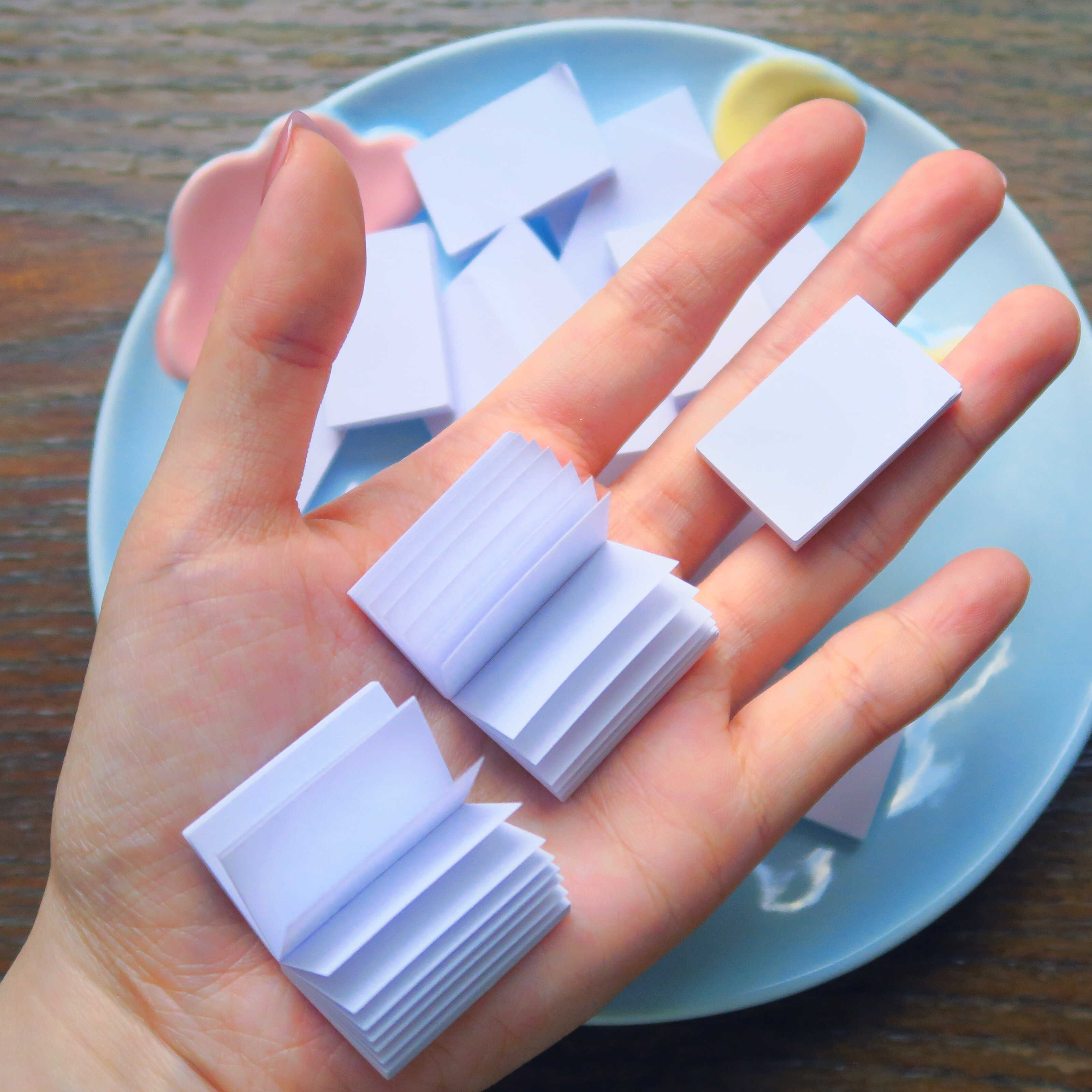 BLANK MINI BOOKS